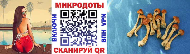 ссылка на мегу зеркало  Светлоград  Галлюциногенные грибы ЛСД 