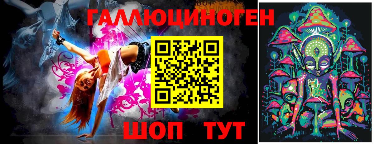 дарнет шоп  Вход с VPN  Светлоград  Галлюциногенные грибы GOLDEN TEACHER 