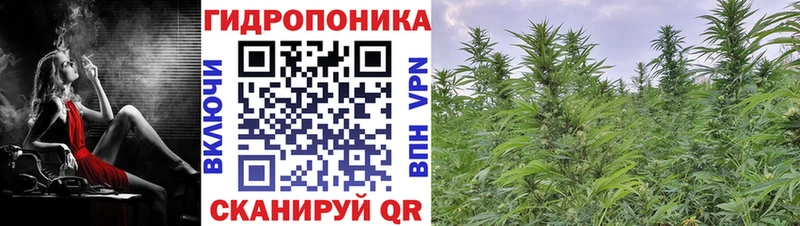 Бошки марихуана Bruce Banner Светлоград